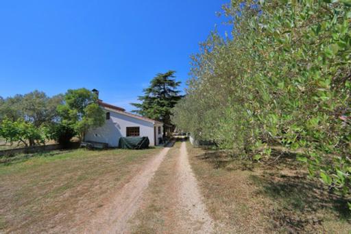 Apartmani Pjer 2 Bibinje Bagian luar foto